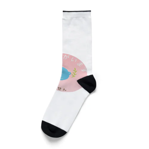 痛風発作　注意喚起 Socks