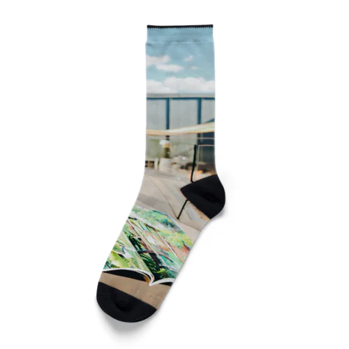 ルーフトップの風景 Socks