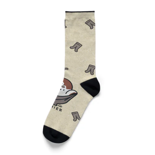 履いてる？ 80DENIER タイツを履いたスズメ ソックス/くるぶしソックス Socks