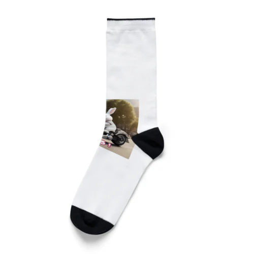 ウサギのハーレーくん Socks