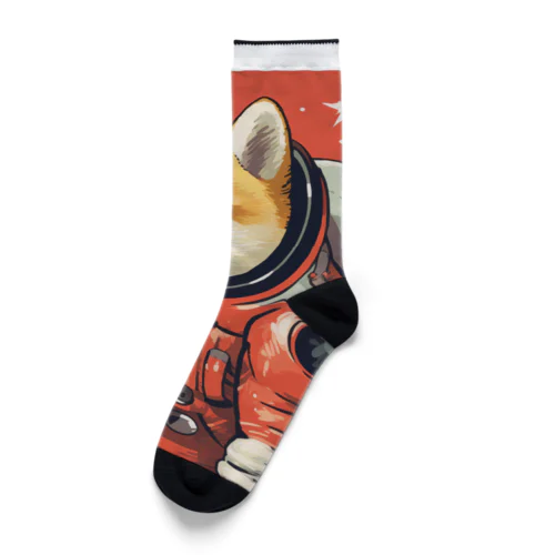 スペース柴犬探検隊 Socks