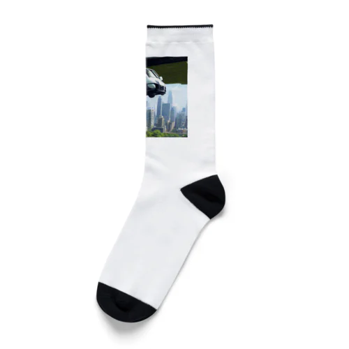 輝かしい未来都市 Socks