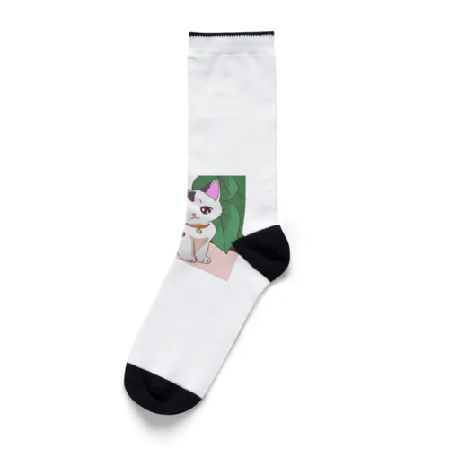 ふわにゃんこ Socks