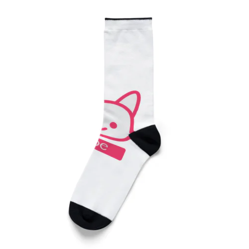 子猫のなぁご Socks