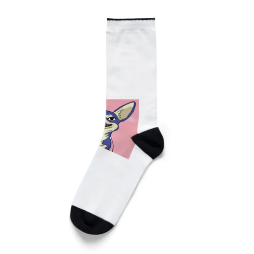 チワワ　 Socks