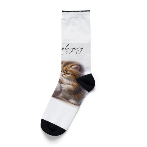 毛糸玉と子猫 Socks