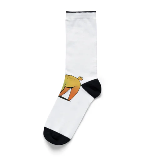 アルパカサングラス【カラフルキュート】 Socks