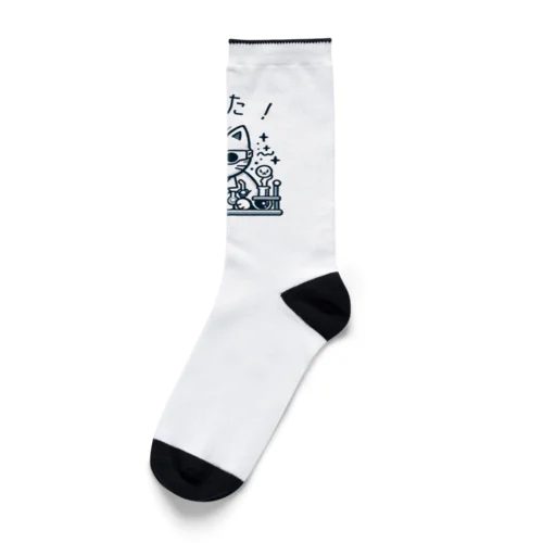 発明家の猫ちゃん Socks