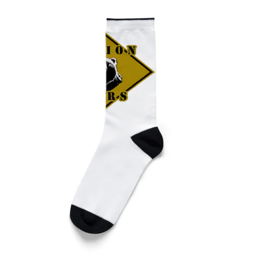 CAUTION- Bear　４ Socks