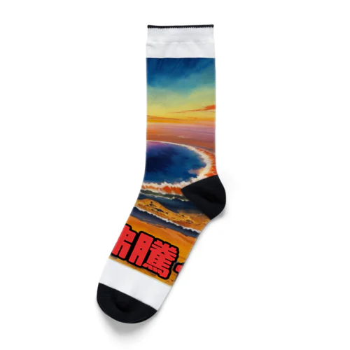 2023年流行語大賞 候補 「地球沸騰化」 Socks