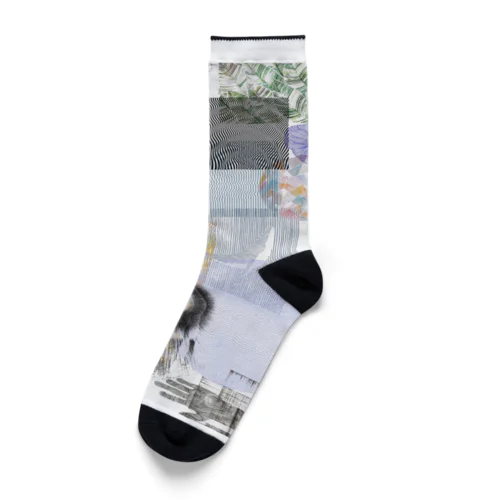 Oneness  Socks