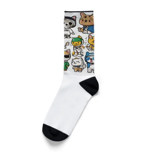 犬 Socks