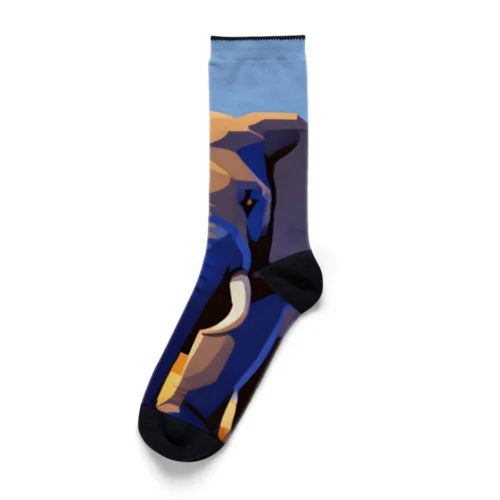 アフリカゾウ Socks