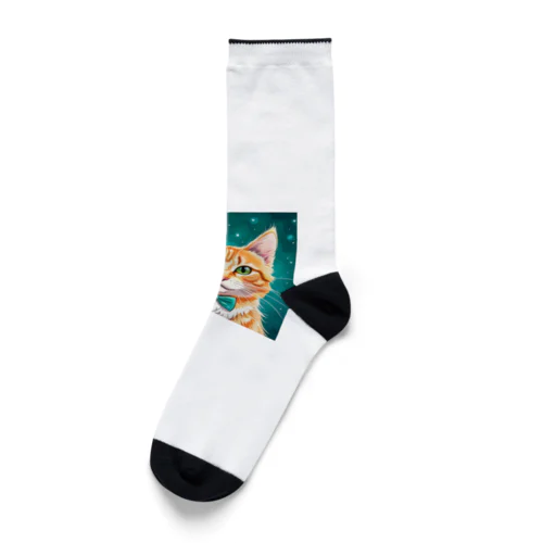 星空と猫さん Socks