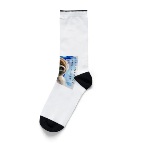 ゴリラの呟き Socks