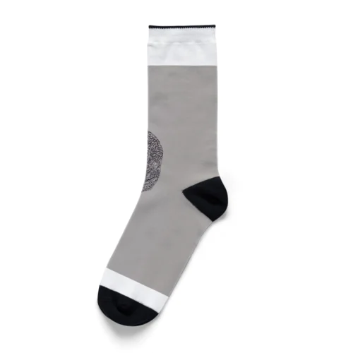 Komodo dragon Socks