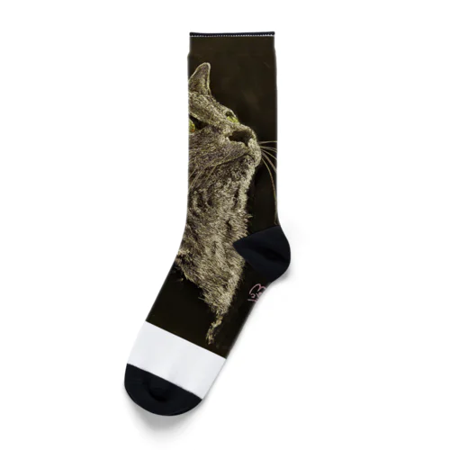 チョークアートシリーズ キリリねこ Socks