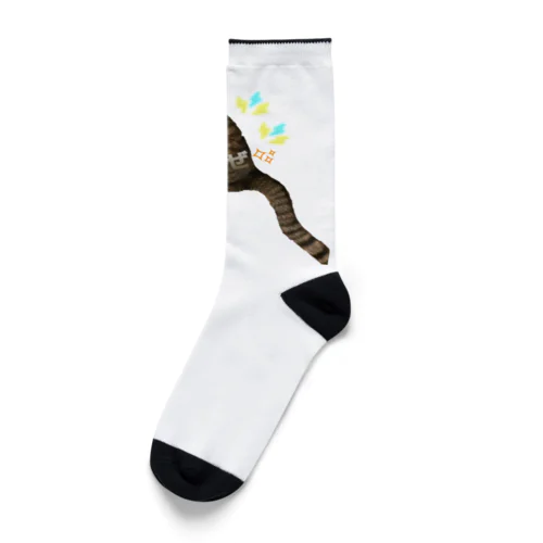 ソックス Socks