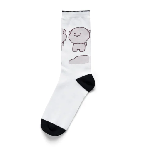 ふわもち犬の集い(井戸端会議) Socks