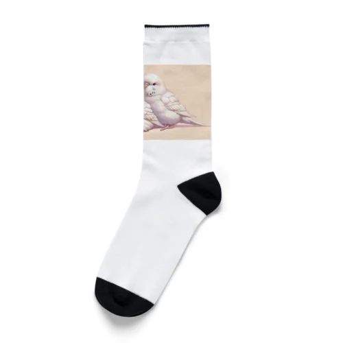 白いセキセイインコ Socks