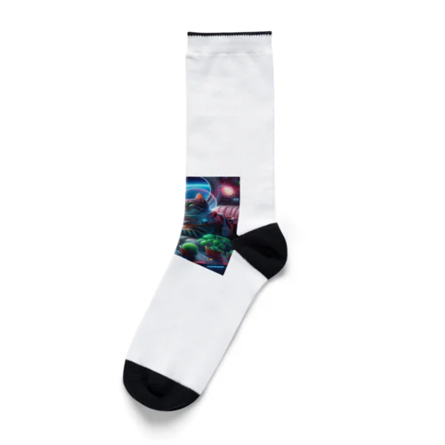 宇宙船で植物を育てながら宇宙旅行している猫 Socks