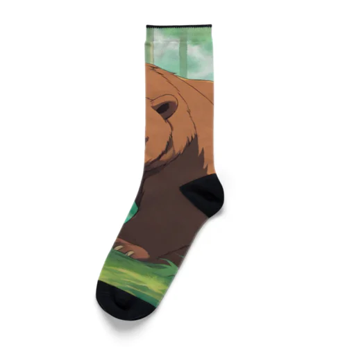 ころんくま Socks