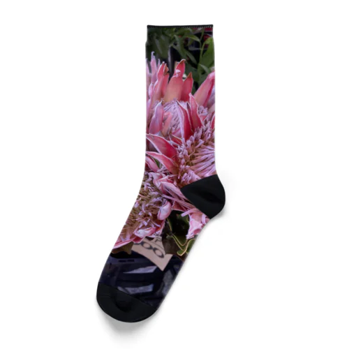 ハッピーpink Flower Socks