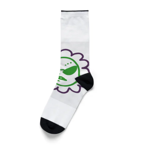 わ！ほいぐらすくん Socks