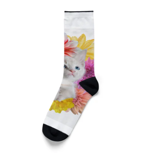 キスハグ！フラワーにゃんこ Socks