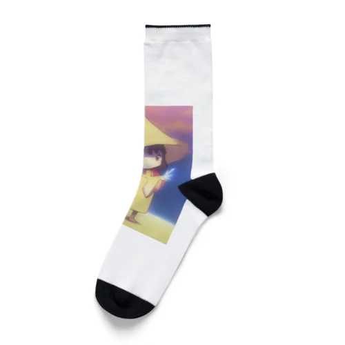 マロンちゃん Socks