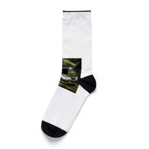 CameramanWANI Socks