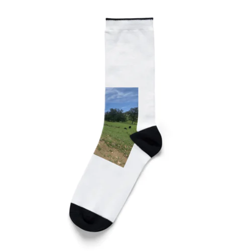 Farm Socks