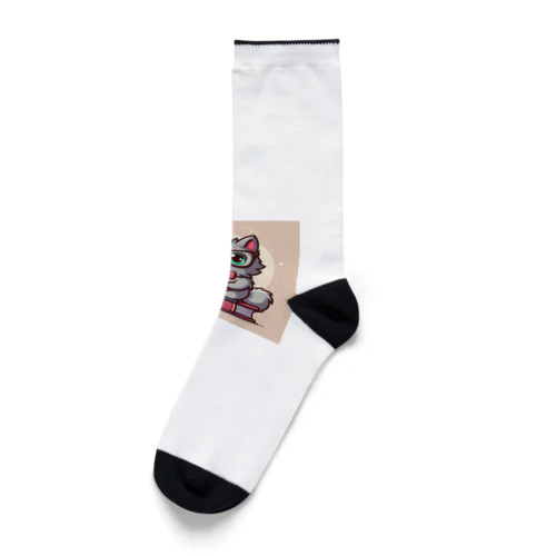 癒し猫 Socks