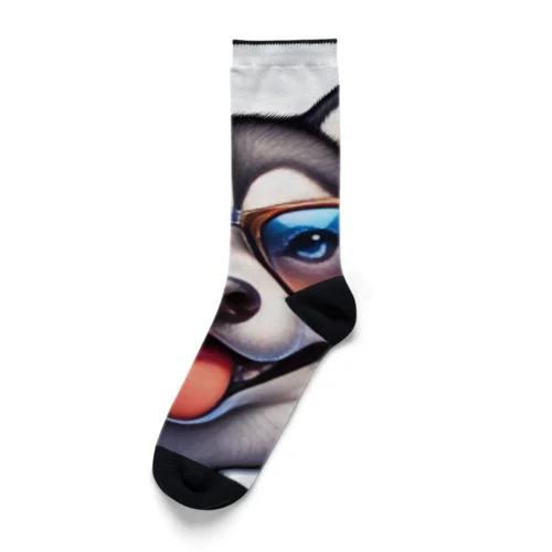 サングラスをかけたハスキー Socks