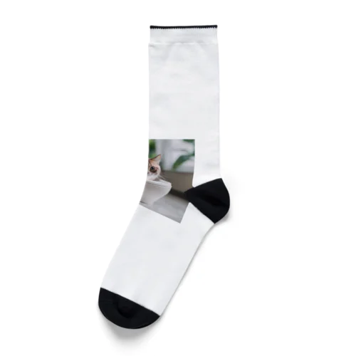 トイレに入るかわいいマンチカンのマカデミアナッツくん Socks