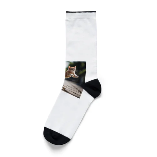 ジャンプする猫 Socks