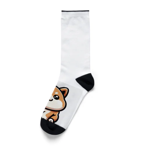 しばまるくん Socks