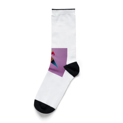 オウムの新しいファッションデザイナー Socks