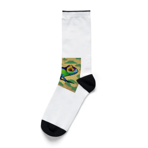 カメレオンカメレオン Socks