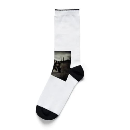 蒼穹の狼将 Socks