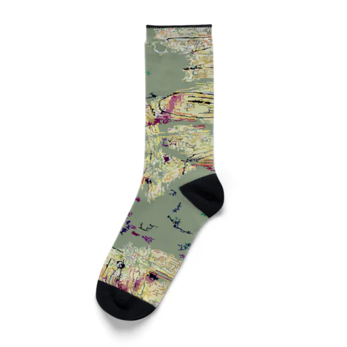 LEA0120 discovery of a new continent Socks