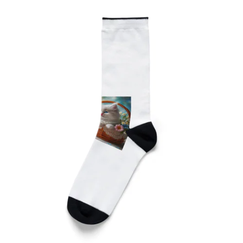 「青い蝶々を見つめる白猫」 Socks