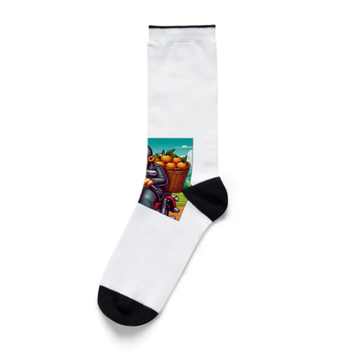 季節の配達いたします Socks