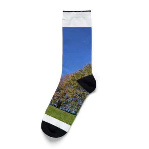 oku-no-sora Socks