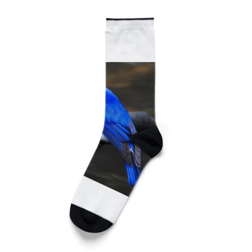 幸運を呼ぶ青い鳥 Socks