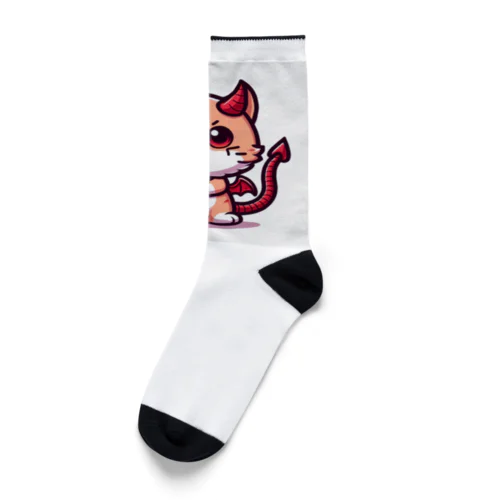 新人悪魔猫☆ Socks