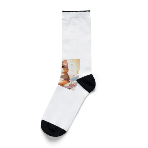 茶色い猫 Socks