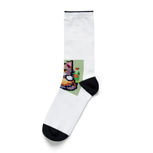 マグカップかくれんぼ猫 Socks