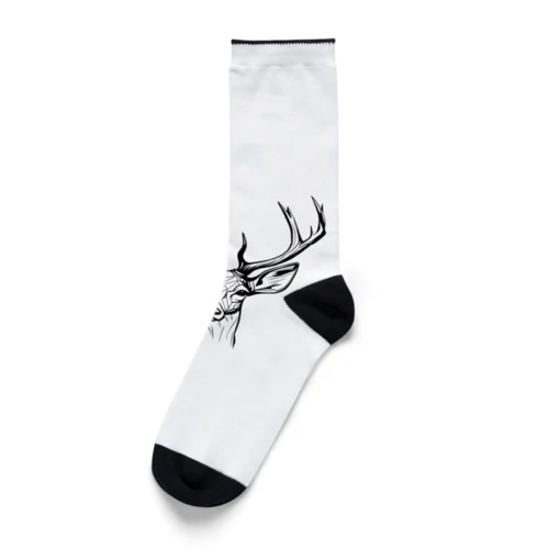 正面を見つめる雄鹿 Socks