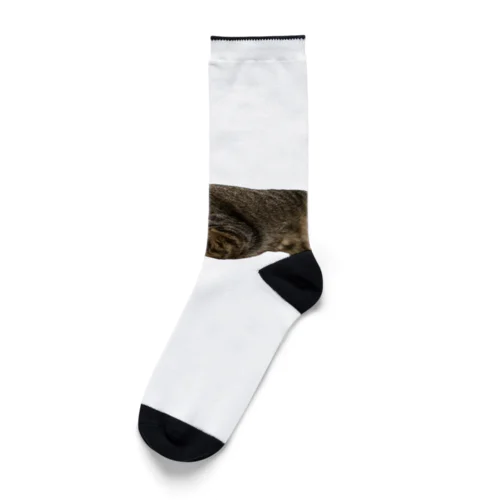 『猫に小判』オレはニャン蔵 Socks